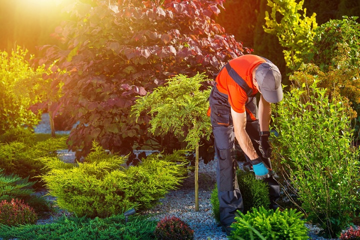 Landscaping Contractor in Glasgow KY