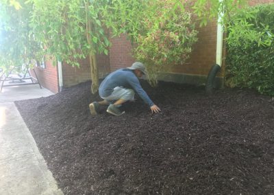 Reliable Mulching Services